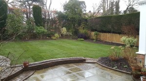 lawn, child friendly, landscaping, turf, turfing, borders. plants