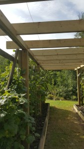Pergolas, garden structure, raised beds, timber build.