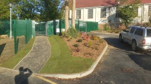 school, planting, turfing, shrubs, woodchip, low maintenance.