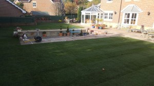 turfing, turf, grass, lawn, green